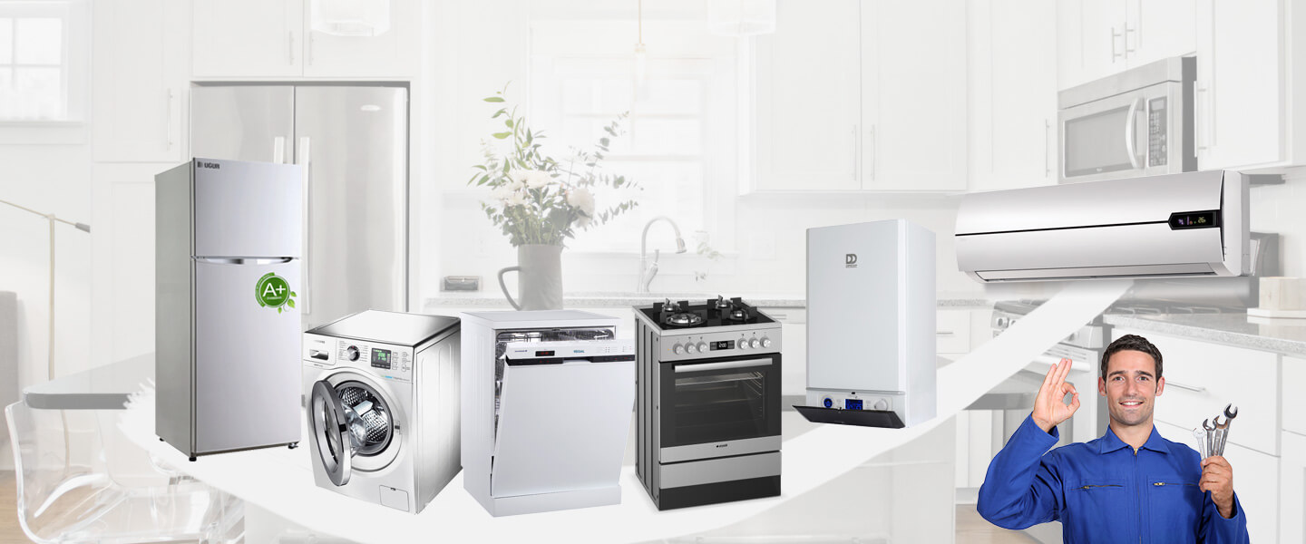 Dalaman Electrolux Servisi